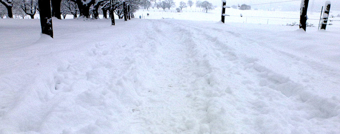 schnee-belag