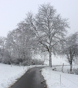 schnee-weg