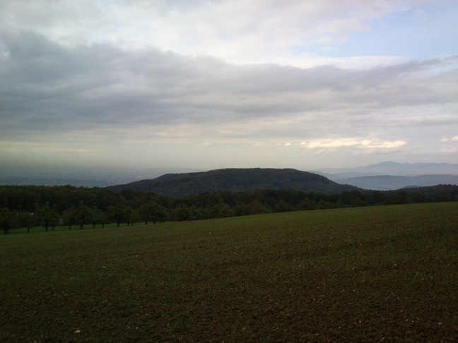 Der Blick bei Baumgarten geht übe Basel bis zum Hochblauen im Schwarzwald (und Feldberg weiter rechts nicht im Bild)
