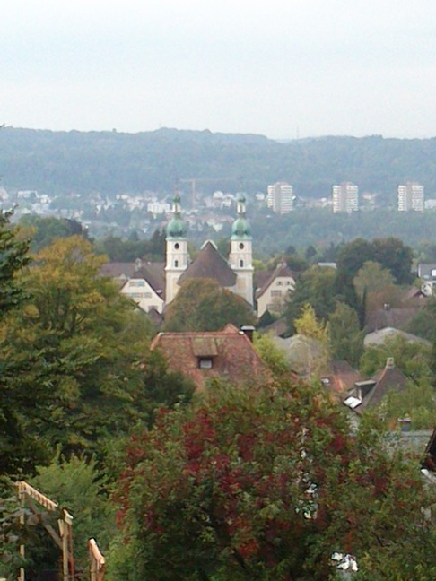 Blick über das Birstal und die Türme des Doms zu Arlesheim